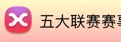 五大联赛赛事 logo